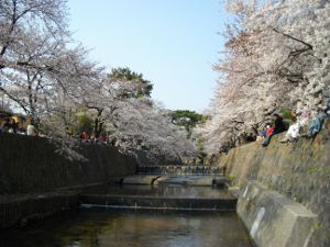 �g��E��y����