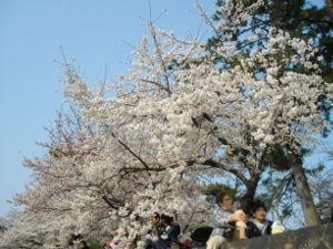 �g��E��y����