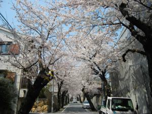 ���̃g���l��