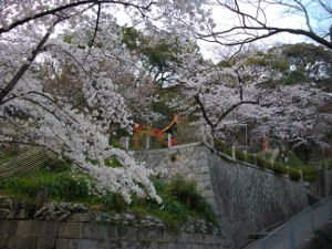 �z�K�R�_�ЁE������