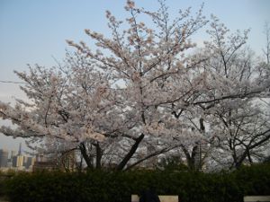 �z�K�R�_�ЁE������