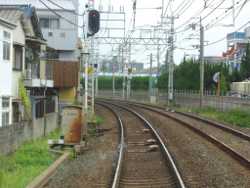 �����p�[�N