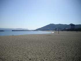 �{���C��