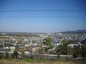 �L��S���t��O