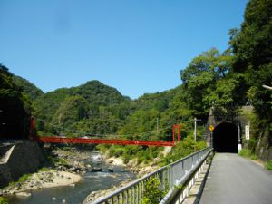 ���c���������