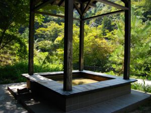 武田尾温泉足湯 武田尾温泉足湯