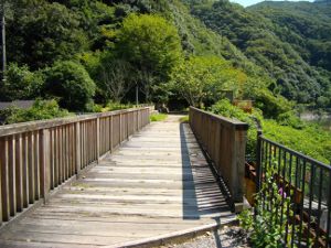 武田尾側開始点 武田尾側開始点