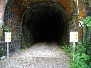 �g���l���i���j